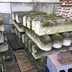 Stootbanden, varkensruggen